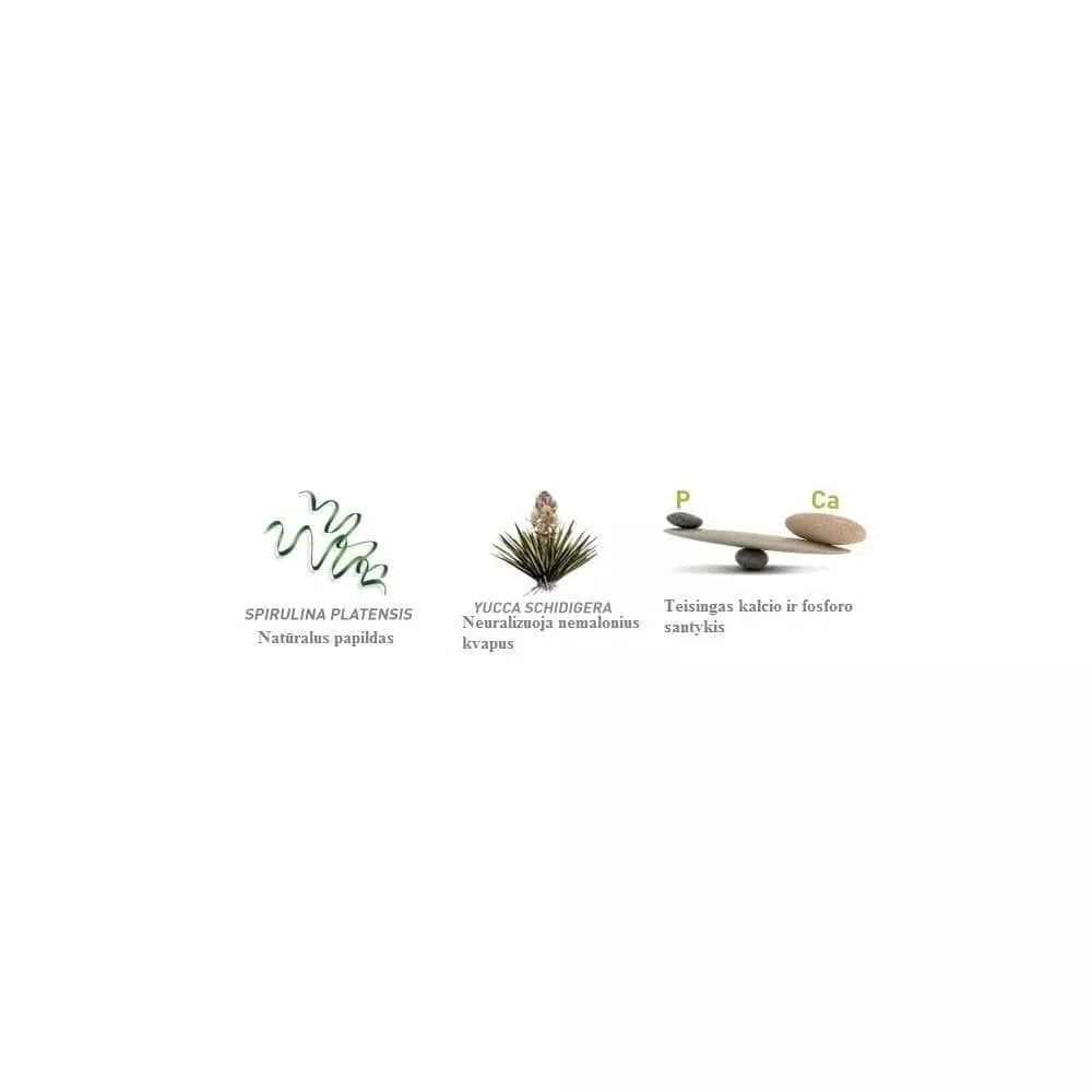 Maistas jauniems dekoratyviniams triušiams Wellness 1 kg