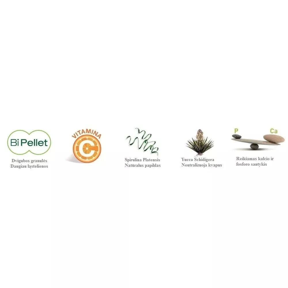 Maistas jūrų kiaulytėms Wellness Guinea Pigs 1 kg