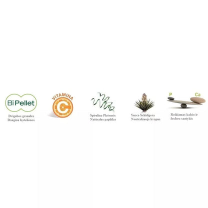 Maistas jūrų kiaulytėms Wellness Guinea Pigs 1 kg