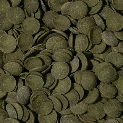 Tropical Green Algae Wafers pašaras dugninėms žuvims 100 ml