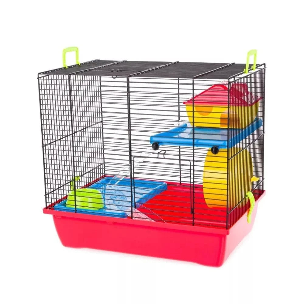 Narvas graužikams Gino I Color, 43x28x38,5 cm