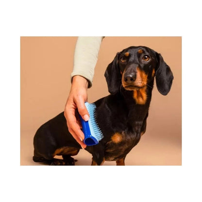 Pet Teezer plaukų šepetys gyvūnams De-Shedding&Dog Grooming Brush Small, žydras
