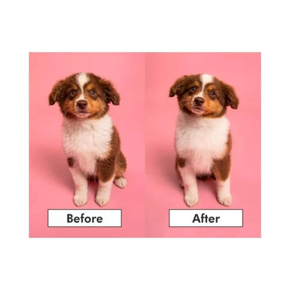 Pet Teezer plaukų šepetys gyvūnams Puppy Brush, žalias