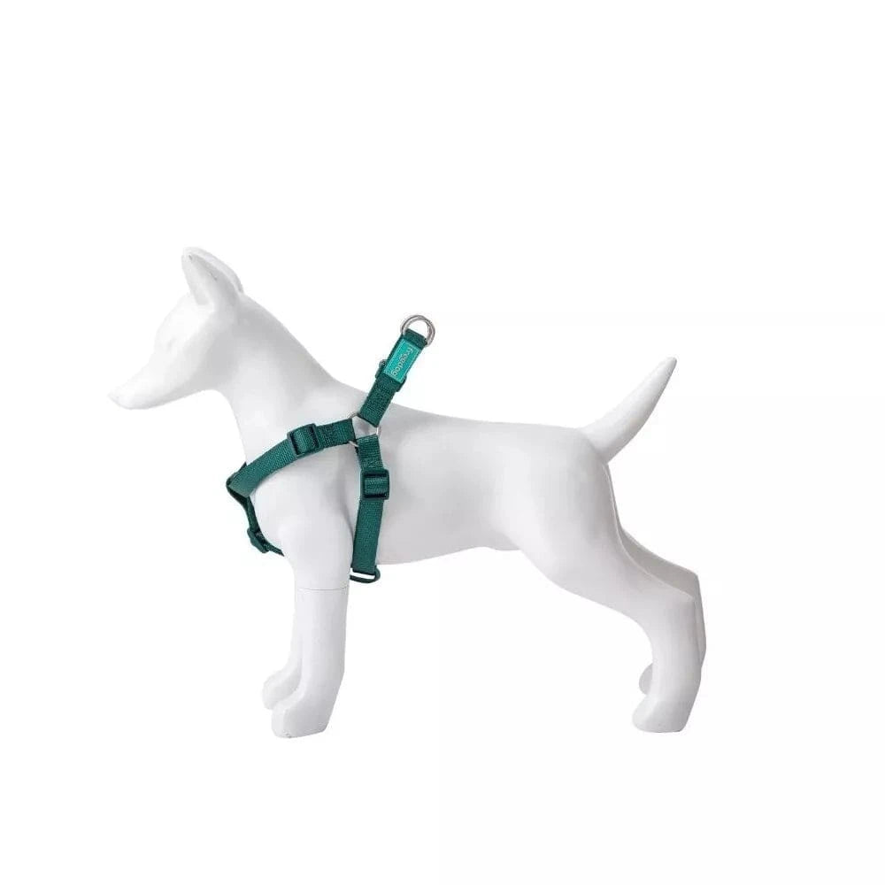 Petnešos Basic Nylon A-Type, žalios, 20 mm x 51-70 cm