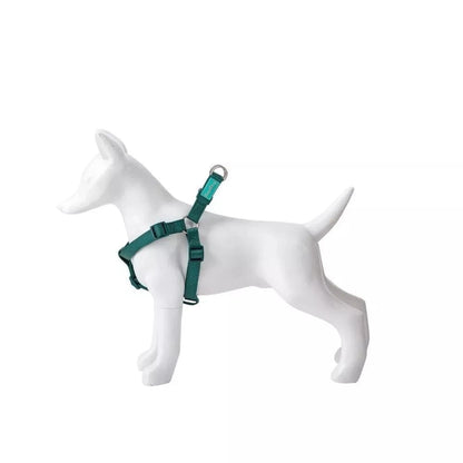 Petnešos Basic Nylon A-Type, žalios, 20 mm x 51-70 cm