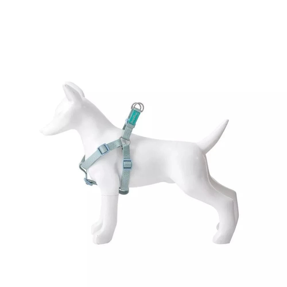 Petnešos Basic Nylon A-Type, žydros, 10 mm x 20-36 cm