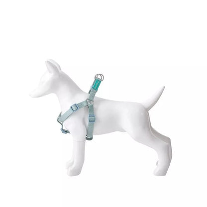 Petnešos Basic Nylon A-Type, žydros, 10 mm x 20-36 cm