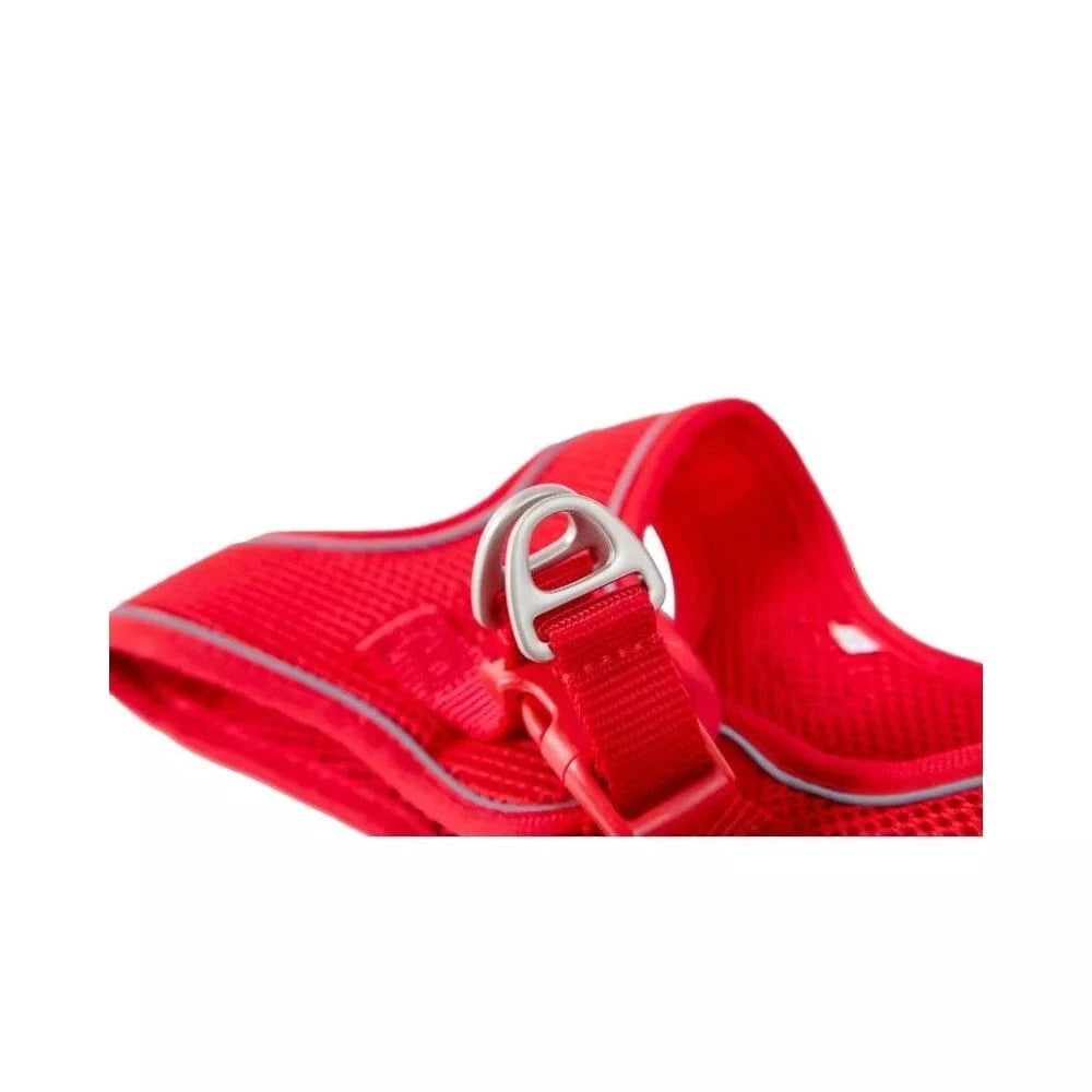 Petnešos Soft, juodos, M, 40-45 cm