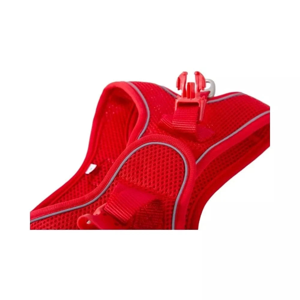 Petnešos Soft, turkio spalvos, M, 40-45 cm