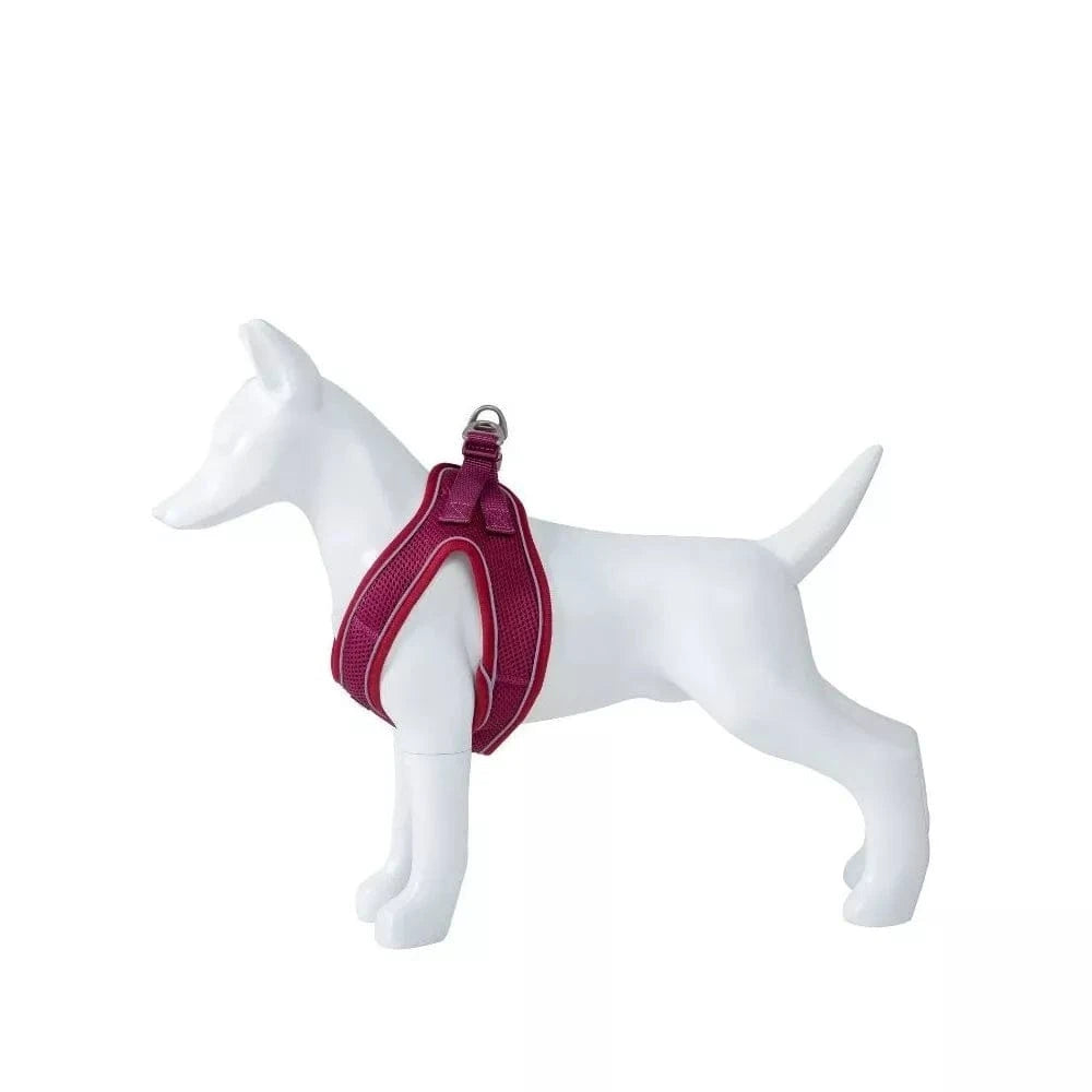 Petnešos Soft, vyšninės, S, 35-40 cm