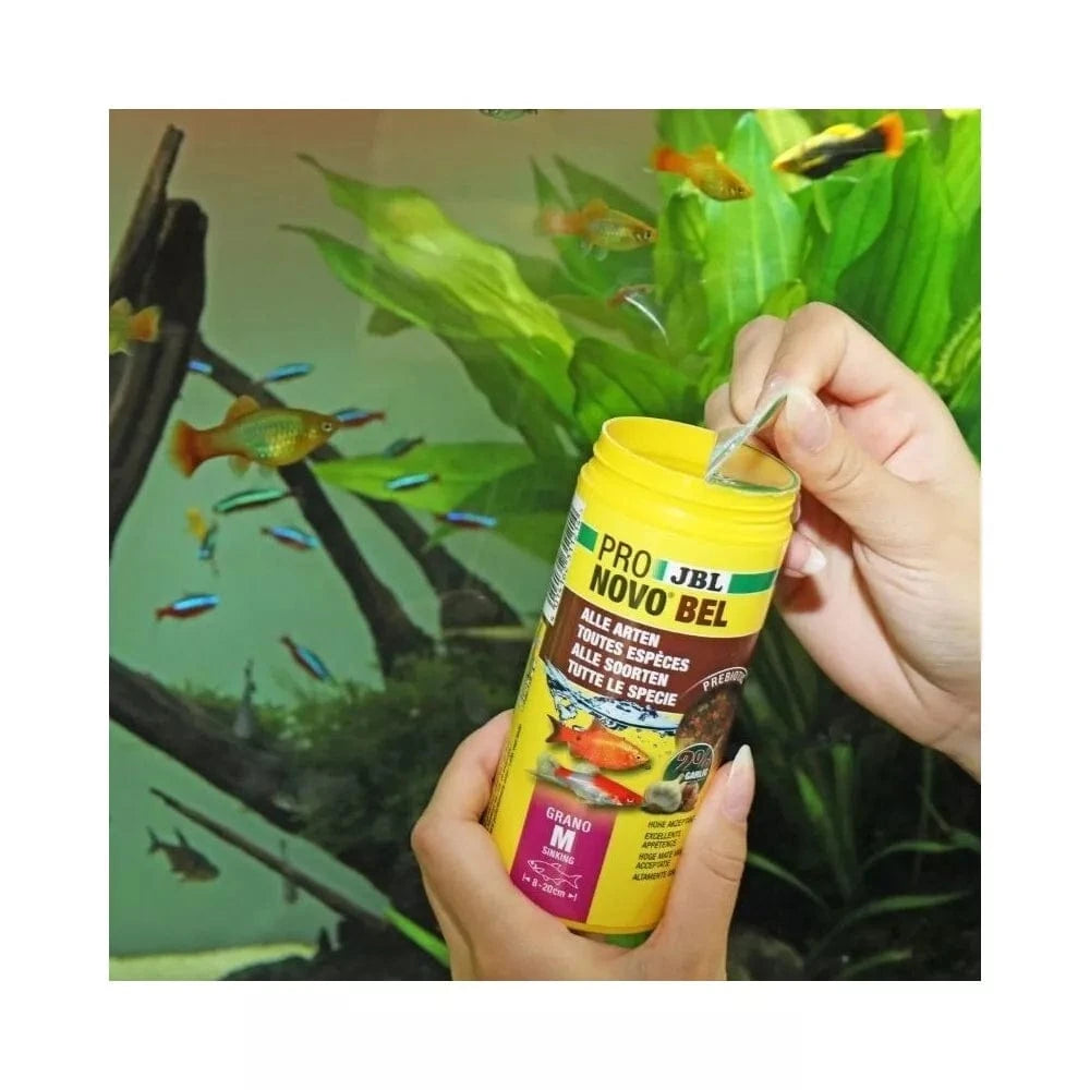 JBL ProNovo Bel Grano M universalus pašaras žuvims 250 ml (click)