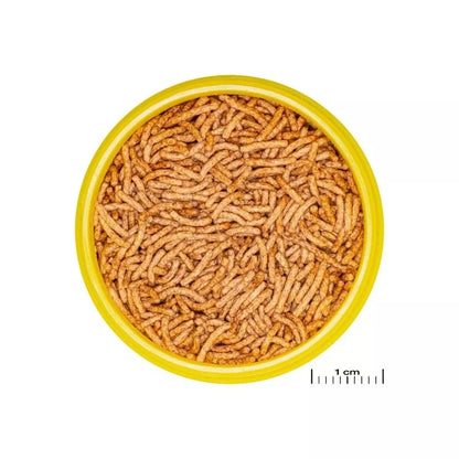 ProNovo Betta Insect Stick S pašaras Betta žuvims (gaideliams) 100 ml