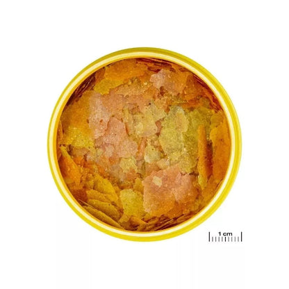 ProNovo Color Flakes M universalus pašaras žuvims 100 ml