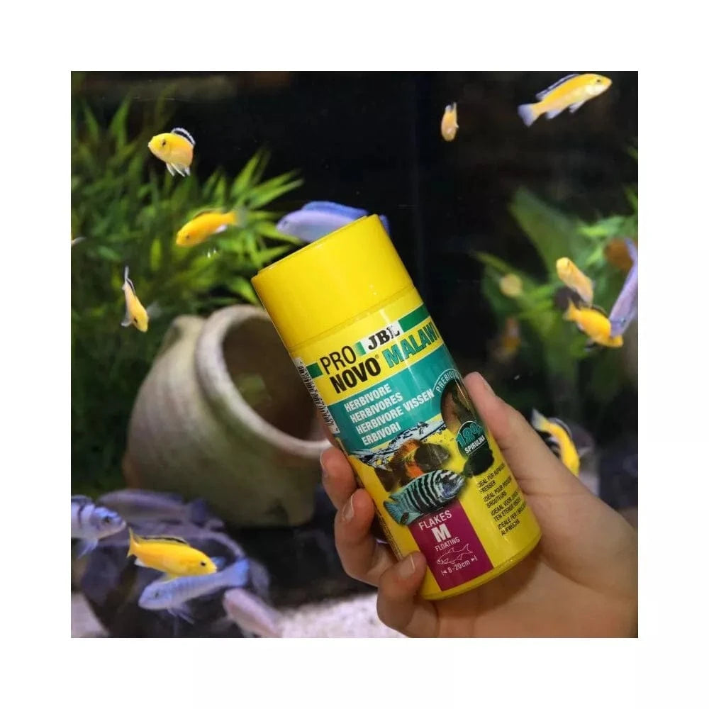 JBL ProNovo Malawi Flakes M pašaras žuvims 250 ml