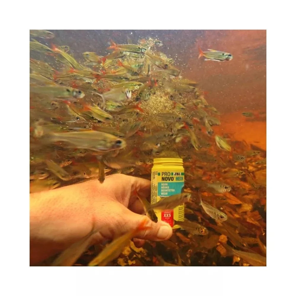 JBL ProNovo Neon Grano XXS pašaras žuvims 100 ml