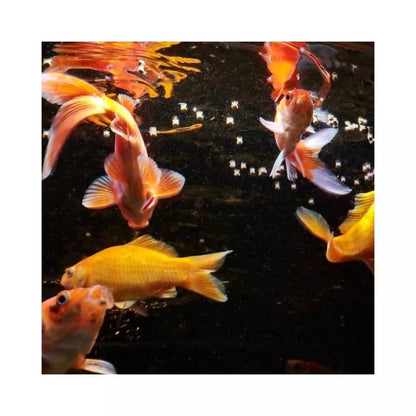 ProNovo Red Grano M pašaras žuvims 250 ml (click)