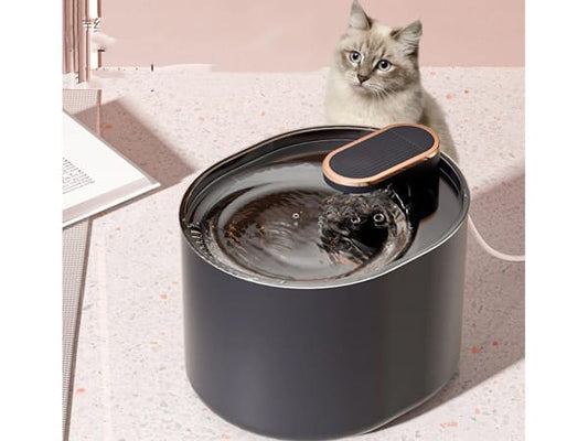 Automatinis vandens fontanas katėms ir šunims 3L – tylus, USB, su filtru (dviejų spalvų)