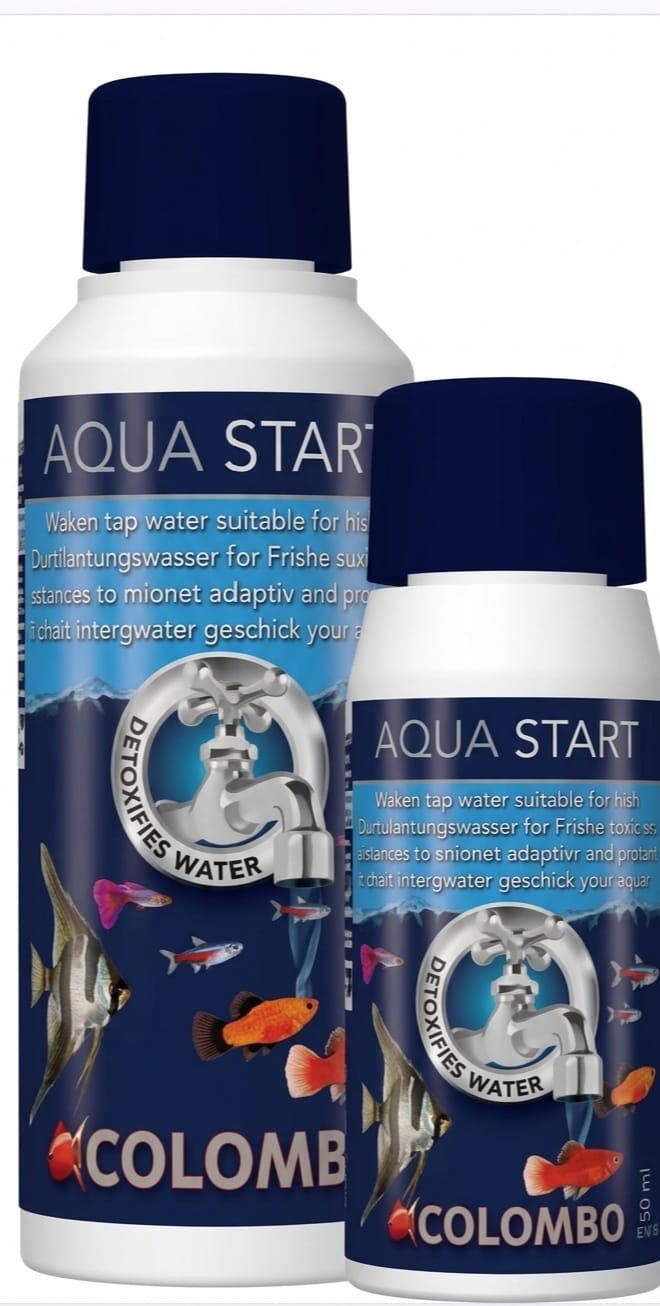 Skaidrus Vanduo per Kelias Dienas – Colombo Aqua Start 💧