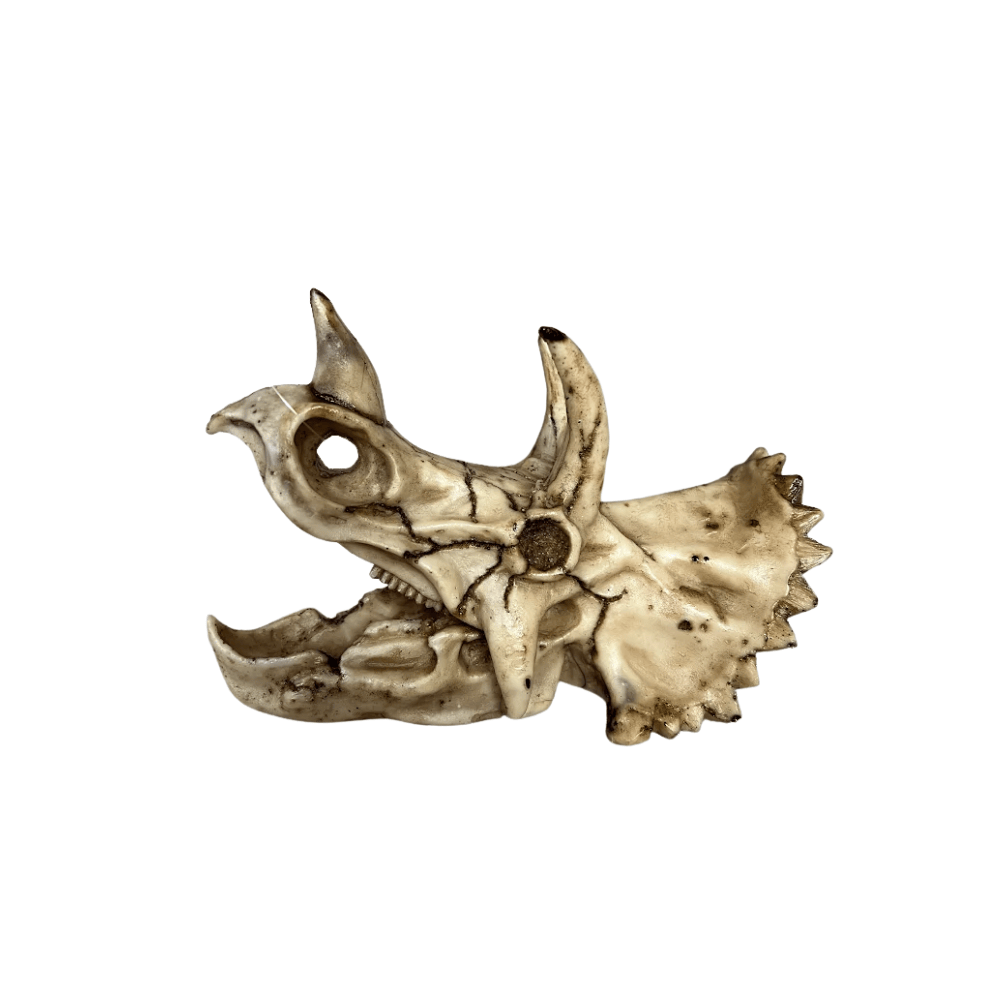 Dekoracija akvariumui, 17x9x12,5 cm Puiki slėptuvė žuvytems