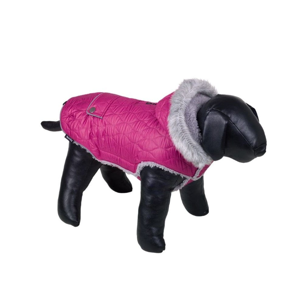 Striukė šunims Polar, 26 cm, violetinė