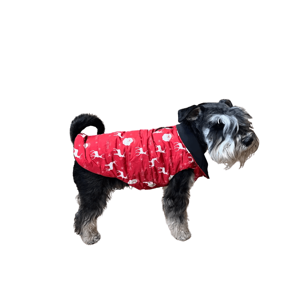 Striukė šunims, dvipusė, L Dydis: 38 cm (ilgis matuojamas nuo keteros iki uodegos)