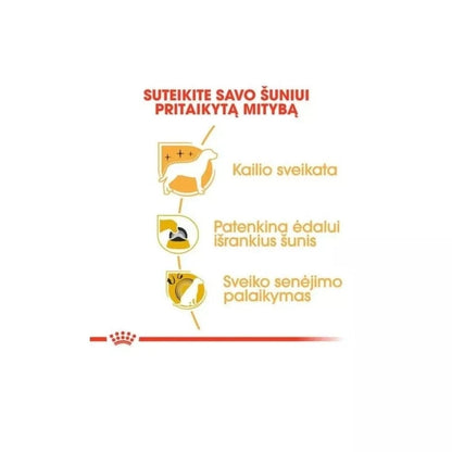 Royal Canin BHN Yorkshire Terrier Adult maistas suaugusiems šunims 0,5 kg