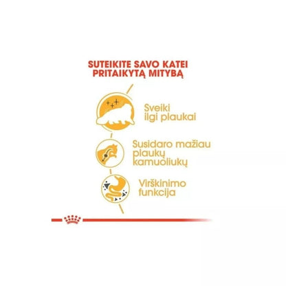 Royal Canin FBN Persian Adult maistas suaugusioms Persų veislės katėms 0,4 kg