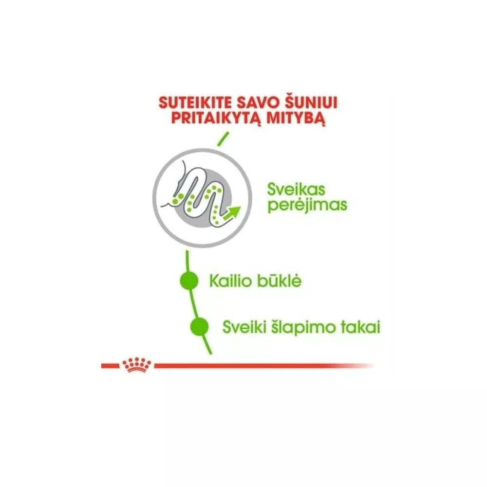 Royal Canin SHN X-SMALL Adult maistas suaugusiems šunims 0,4 kg