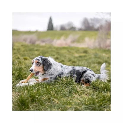 Rudi kaulai šunims iš jaučio odos 21,5 cm (10 vnt.)