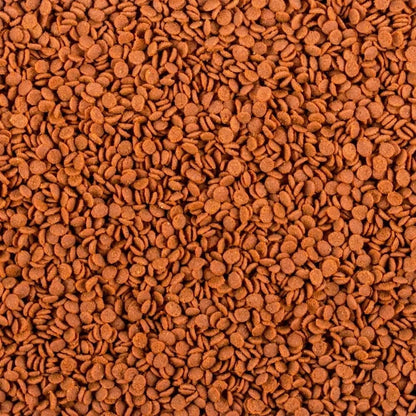 Soft Line Africa Carnivore minkštas maistas visaėdėms ir mėsėdėms Afrikos žuvims 100 ml