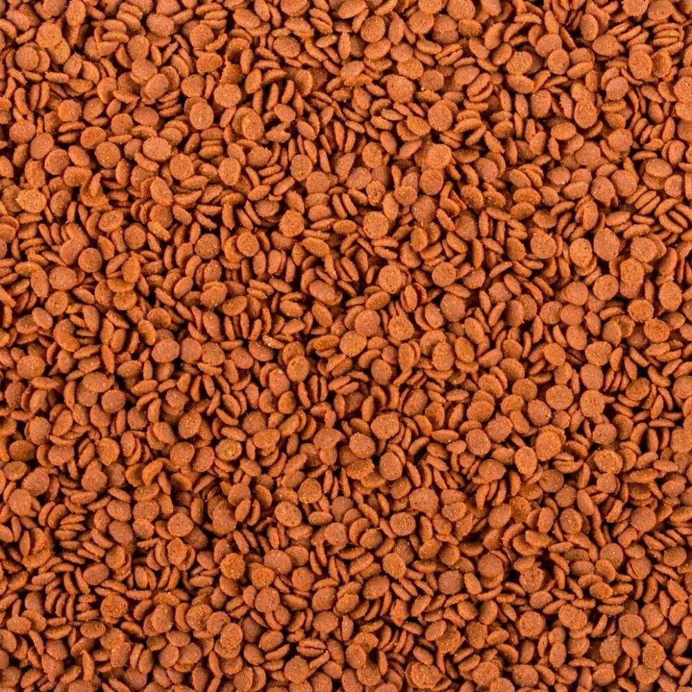 Soft Line Africa Carnivore minkštas pašaras visaėdėms ir mėsėdėms Afrikos žuvims 250 ml