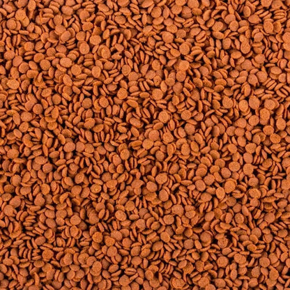 Soft Line Africa Carnivore minkštas pašaras visaėdėms ir mėsėdėms Afrikos žuvims 250 ml