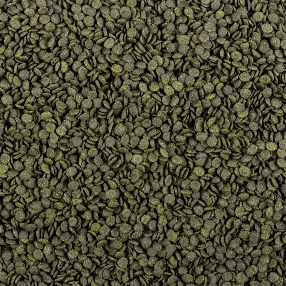 Soft Line Africa Herbivore minkštas pašaras augalėdėms ir visaėdėms Afrikos žuvims 250 ml