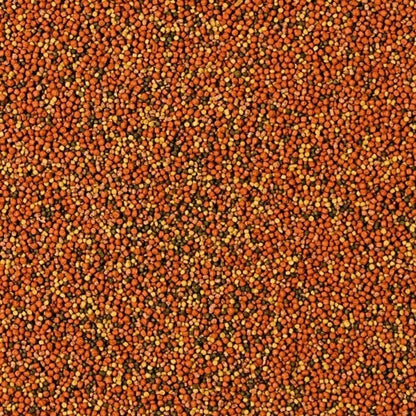 Maistas žuvims Tropical Supervit Granulat 100 ml