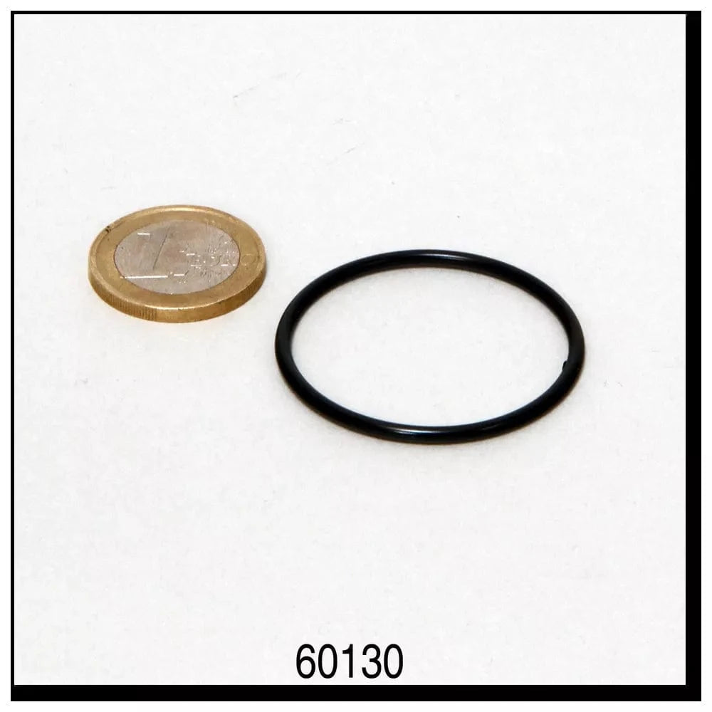 Rotoriaus dangtelio tarpinė išoriniams filtrams JBL CristalProfi e400/700/900/1