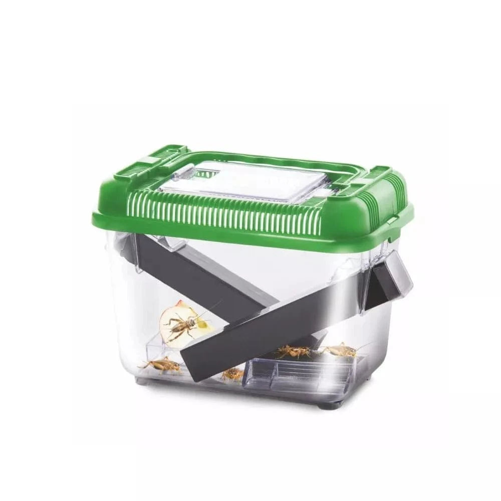 Terariumas svirpliams, 18x12x14 cm