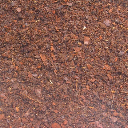 JBL TerraBark pušies žievės substratas terariumams 5 l