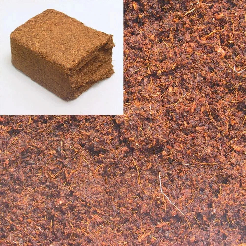 JBL TerraCoco Compact kokoso plaušų substratas 450 g (5 l)