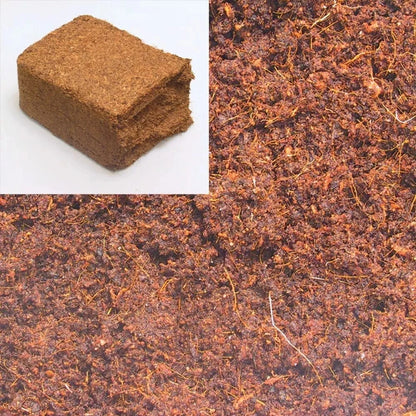 JBL TerraCoco Humus kokosinis humusas 600 g