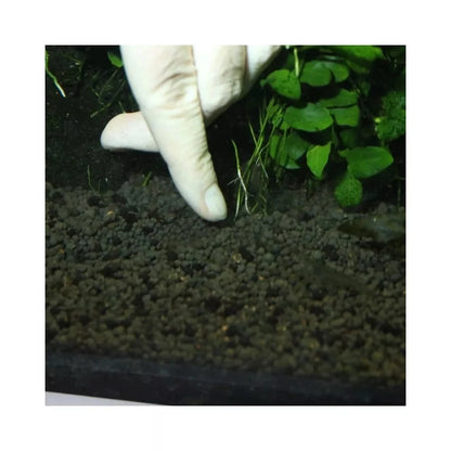 JBL The 7 Balls molio trąšų kamuolėliai 7 vnt.