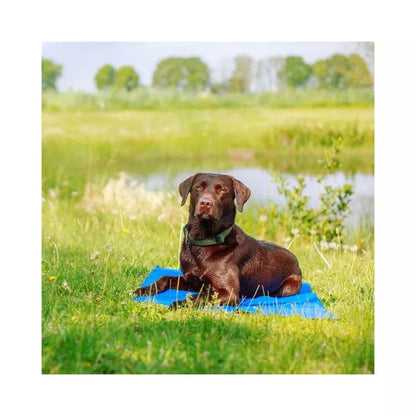 Vėsinantis kilimėlis, 110x70 cm