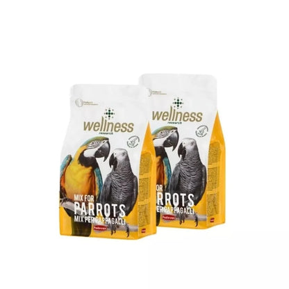 Lesalas didžiosioms papūgoms Wellness Pappagalli 2x750 g