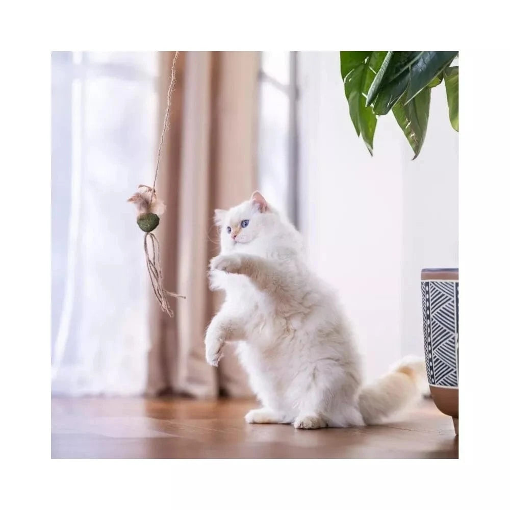 Žaislas katėms meškerė su kamuoliuku