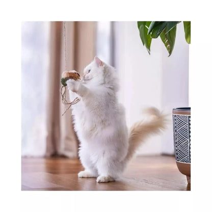 Žaislas katėms meškerė su kamuoliuku