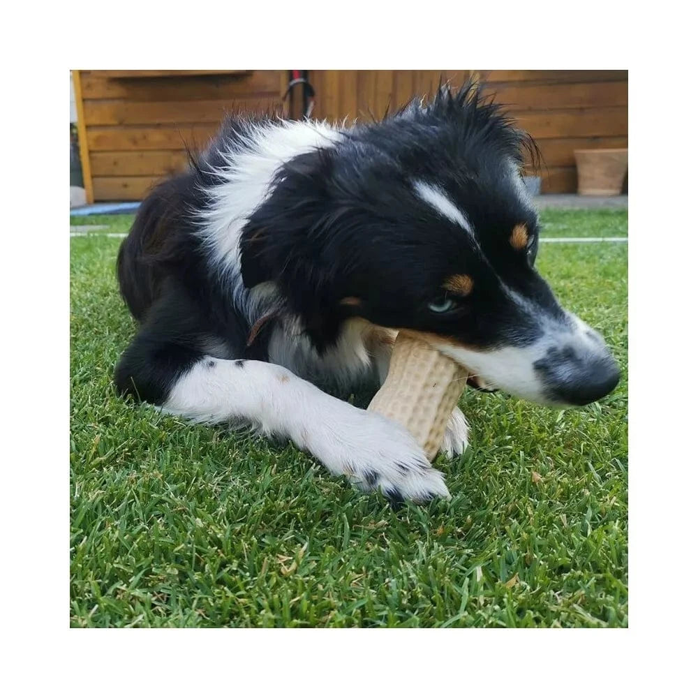 Žaislas šunims guminis žemės riešutas, 11 cm