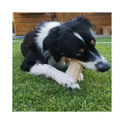 Žaislas šunims guminis žemės riešutas, 11 cm