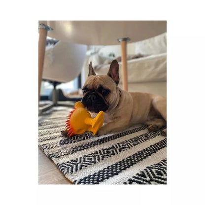 Žaislas šunims lateksinis cypiantis kivis, oranžinis, 8,5 cm, S